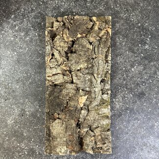 Roonami Cork Panel Tile 6" x 9"