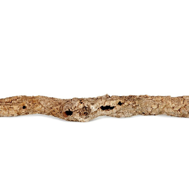 Jurassic Cork Bark Tube Skinny 12" - 15"