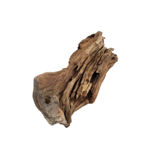 Jurassic Asian Driftwood, Black Aqua 10" - 12"