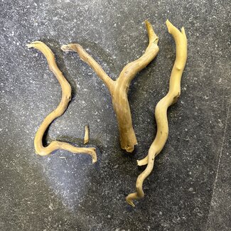 Spiderwood & Grapewood Pieces Cello