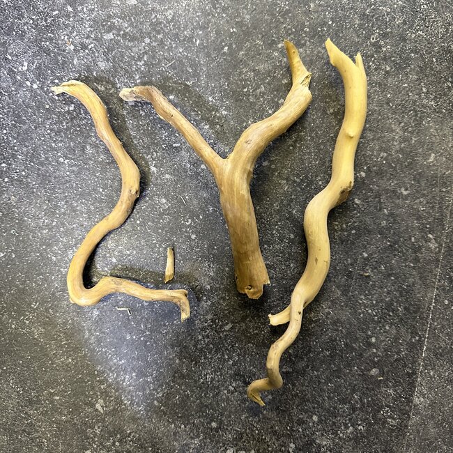 Spiderwood & Grapewood Pieces Cello
