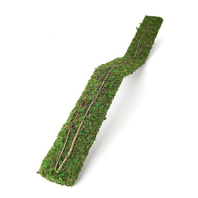 Galapagos Mossy Flex Bridge 3ft