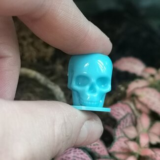 Skull Water Cup - X Small Blue
