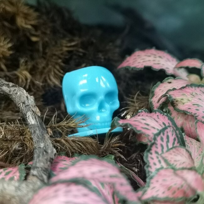 Skull Water Cup - X Small Blue