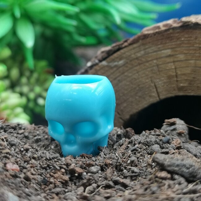 Skull Water Cup - X Small Blue