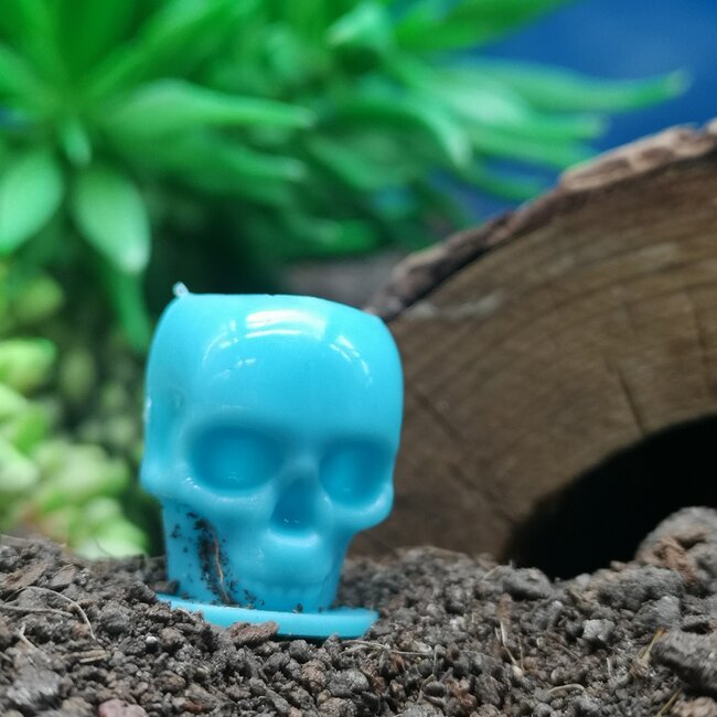 Skull Water Cup - X Small Blue