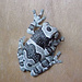 Amazon Milk Frog