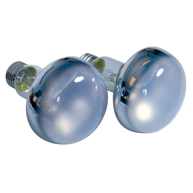 Repti Basking Spot Lamp - 100 W - 2 pk