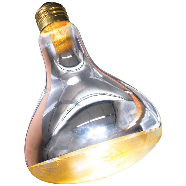 Repti Basking Spot Lamp - 100 W - 2 pk