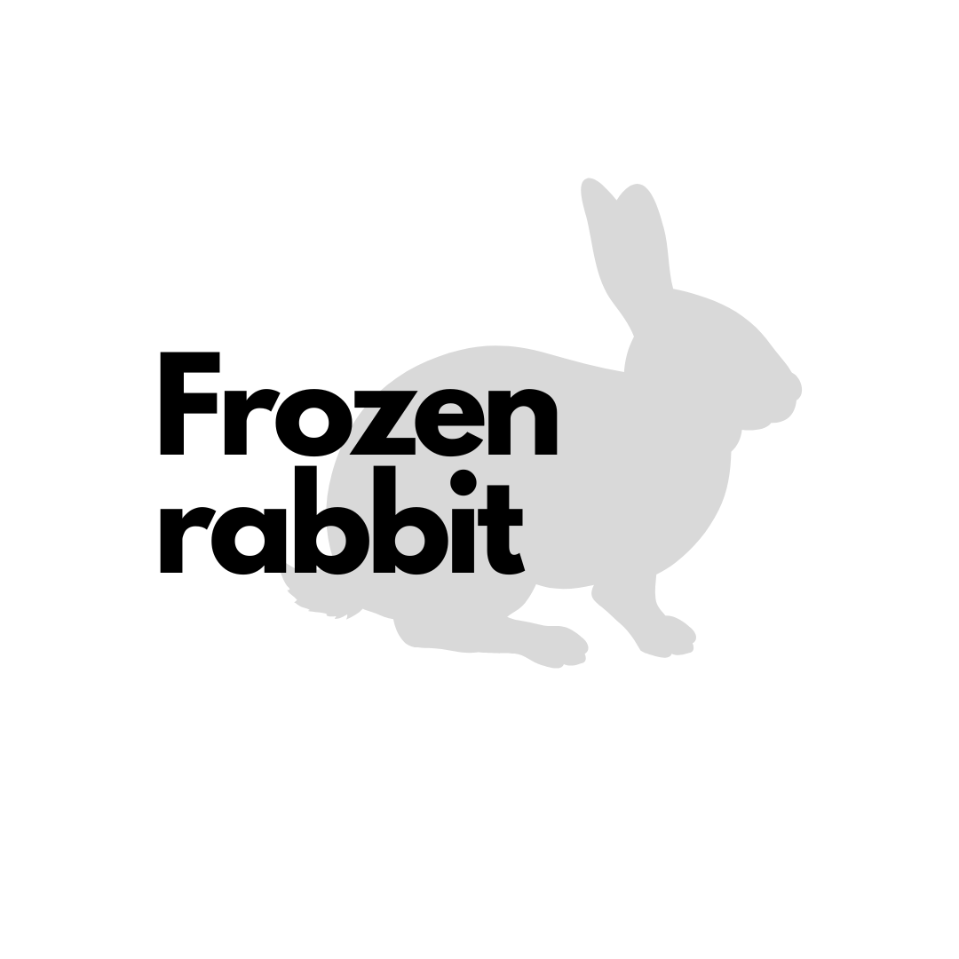 Frozen Rabbit Edmonton Alberta Canada - Roonami