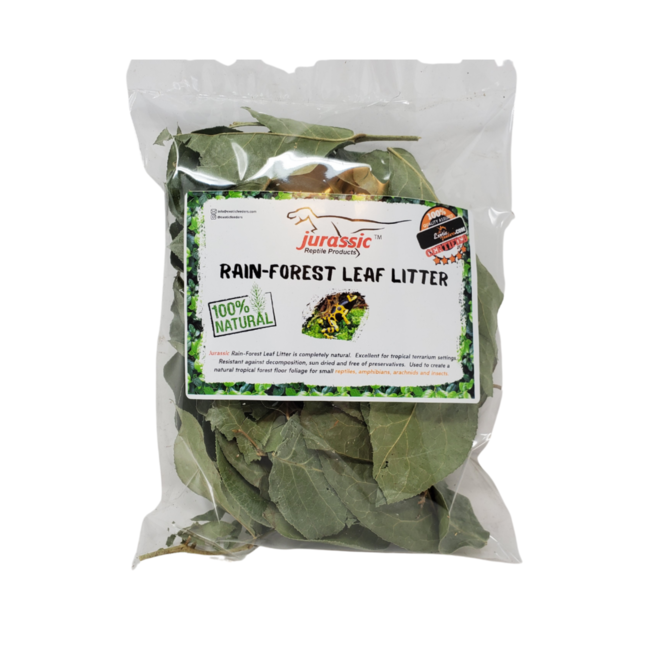 Rainforest Leaf Litter - Cello Pack