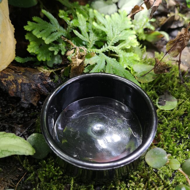 NewCal PVC Water Dish - Small