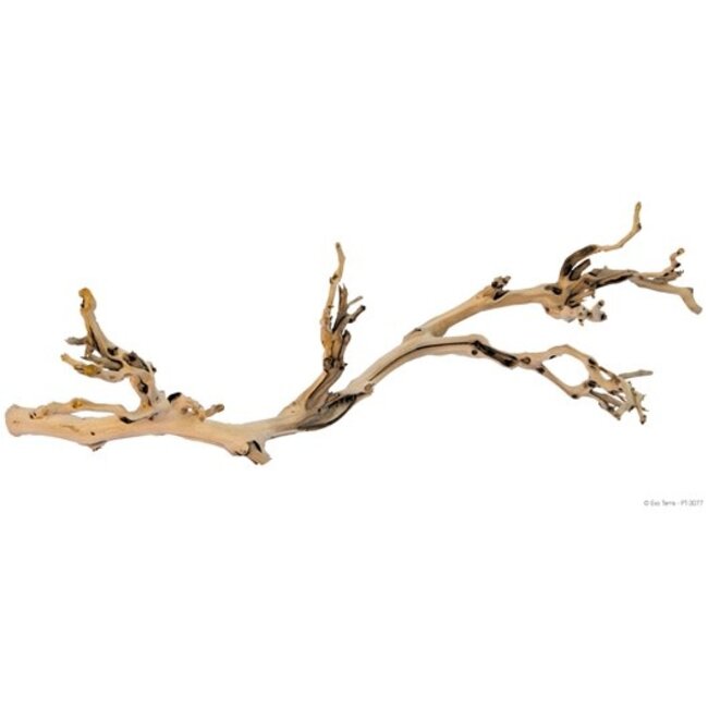 Exo Terra Forest Branch, Large 24in