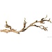 Exo Terra Exo Terra Forest Branch, Large 24in