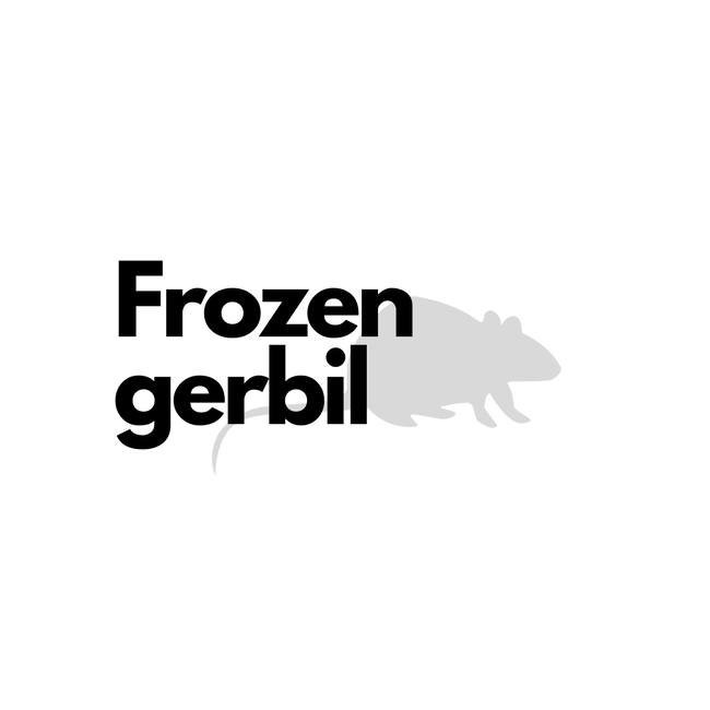 Frozen Gerbil