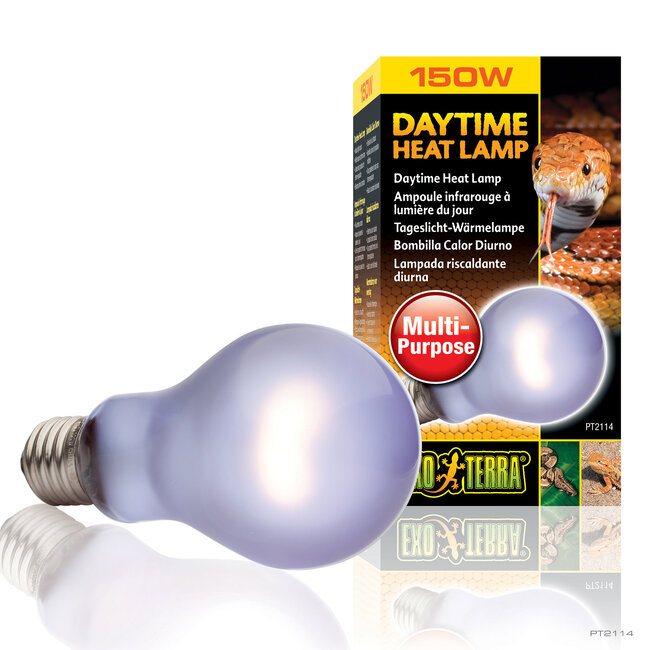 Exo Terra Daytime Heat Lamp A19 100W