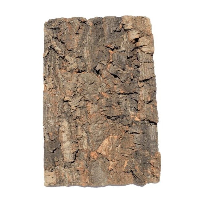 Jurassic Cork Panel Tile 6" x 12"