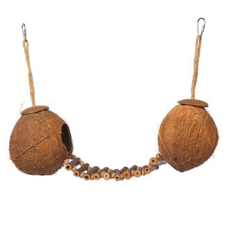 Double Coconut Walk  Ladder