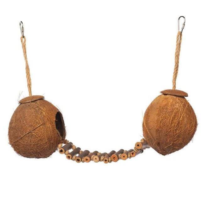 Double Coconut Walk  Ladder