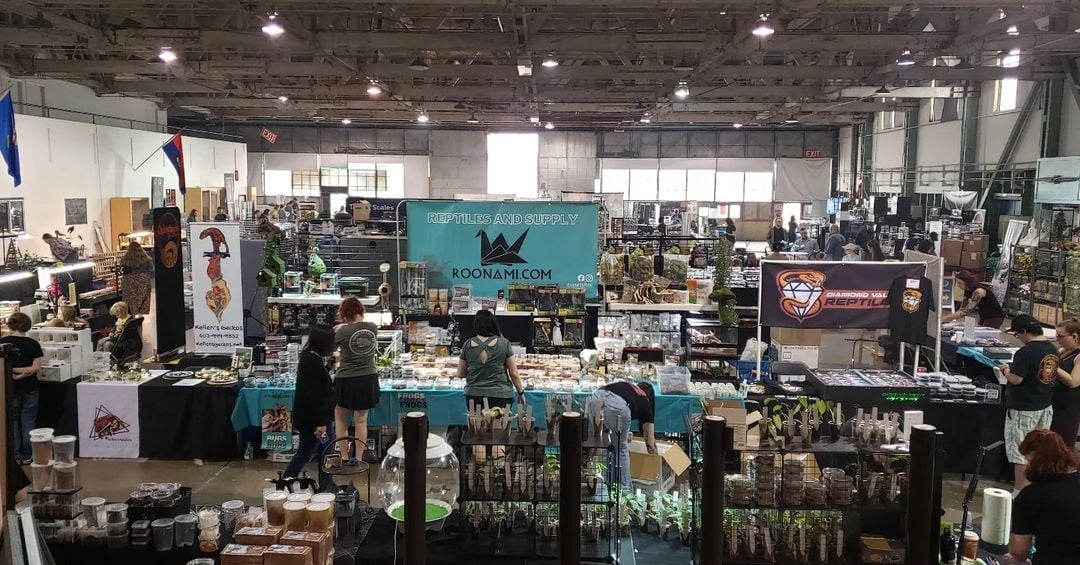 Fall Edmonton 2024 Reptile Expo