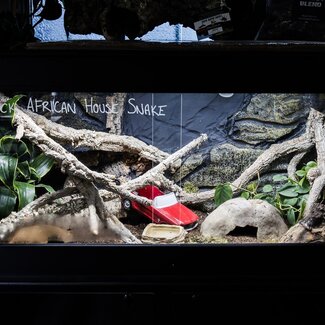 Cornel's World Terrarium PVC 46" x 22" x 22"with Sliding Glass doors
