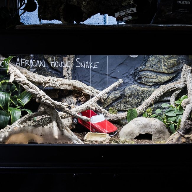 PVC Enclosure 46" x 22" x 22" with Sliding Glass doors Cornel's World Terrarium