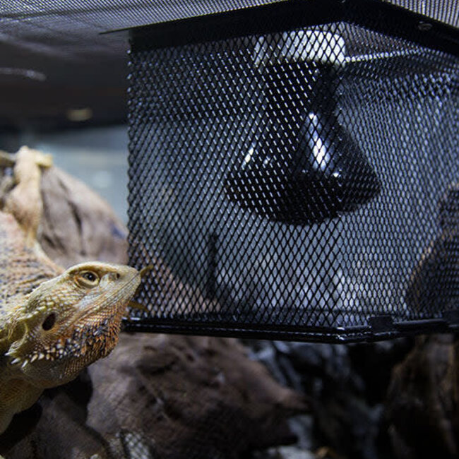 ReptiZoo Mesh Cover Basket 5.7" x 5.7" x 5.7"