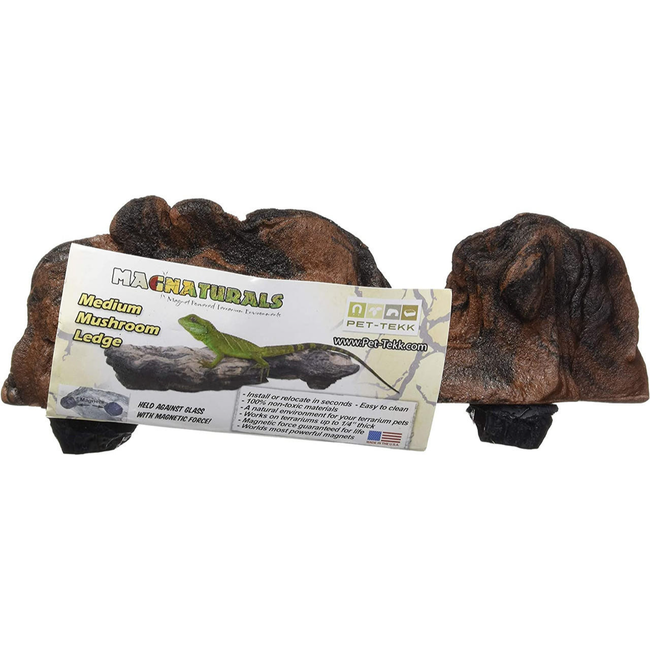 Magnaturals Mushroom Ledge, Medium, Earth