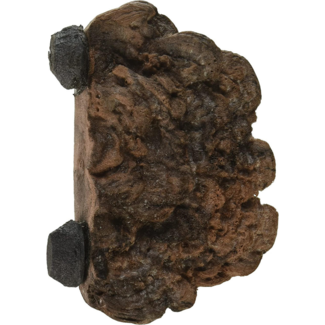 Magnaturals Mushroom Ledge, Small, Earth