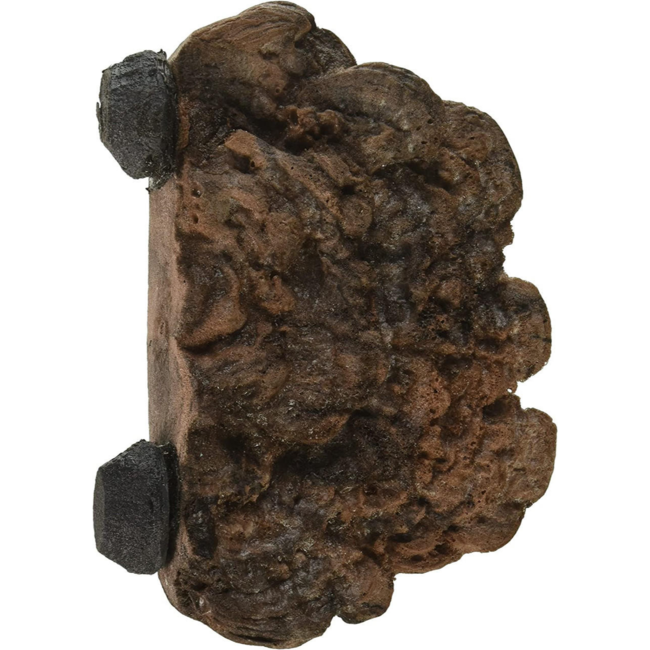 Magnaturals Mushroom Ledge, Small, Earth
