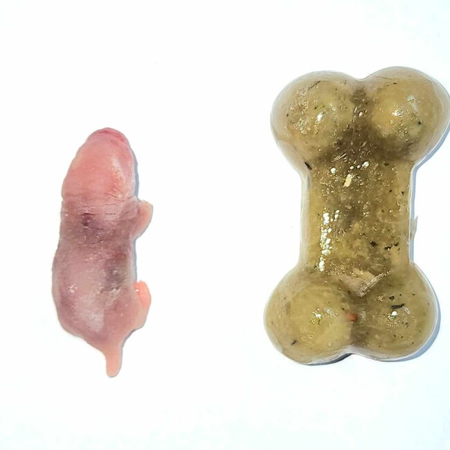 Repti-Bites Omniviore Formula