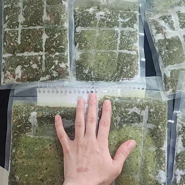 Repti-Bites Repti-Bites Omnivore Entree