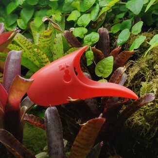 Tad-Pool Breeding Cup – Coral