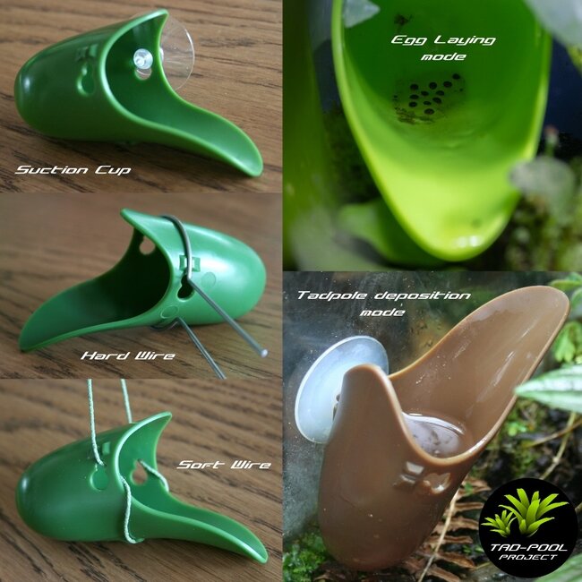 Tad-Pool Breeding Cup – Dark Green