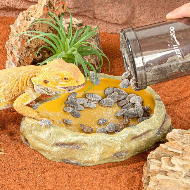 ReptiZoo Reptile Cricket & Powder Mixer