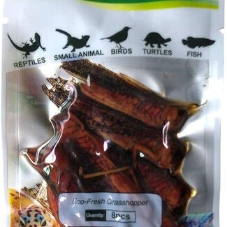 ProBugs Eco-Fresh Grasshopper