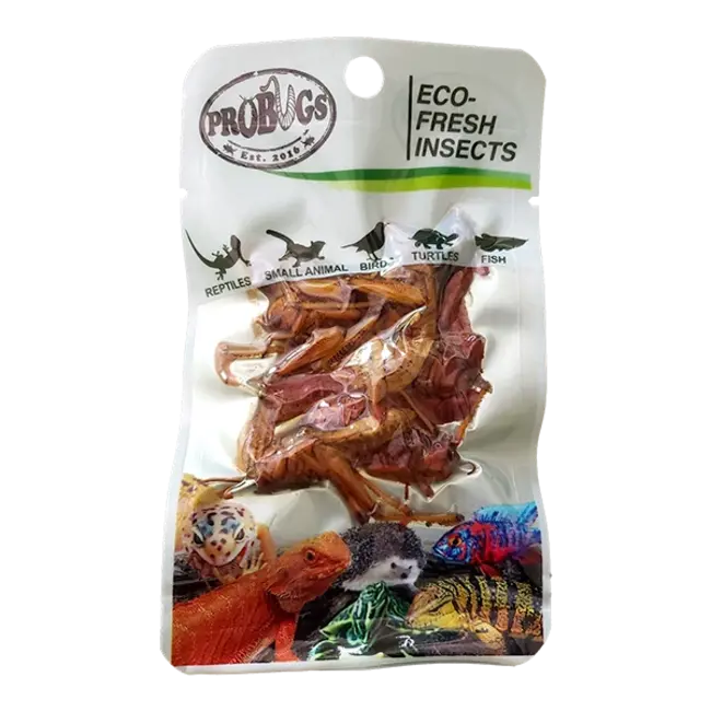 ProBugs Eco-Fresh Grasshopper