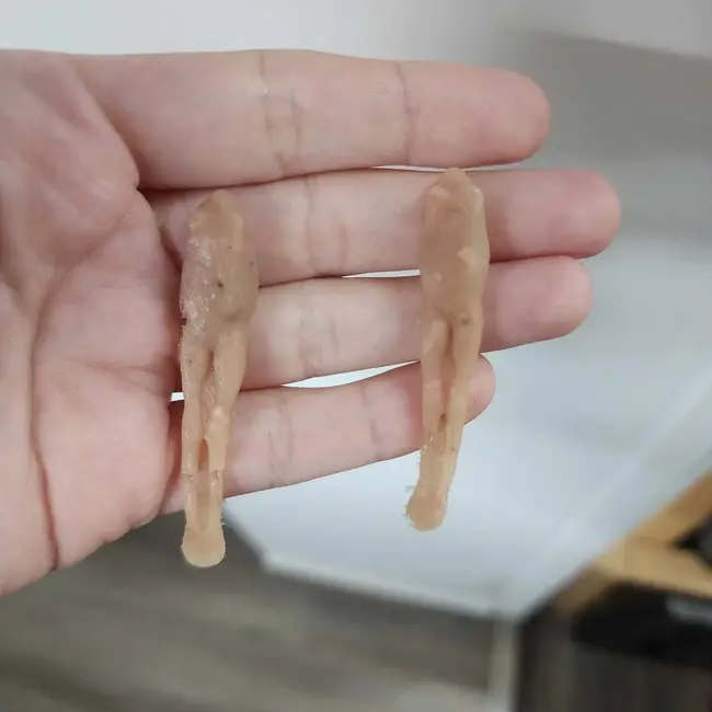 Repti-Bites Repti-Bites Frog Formula