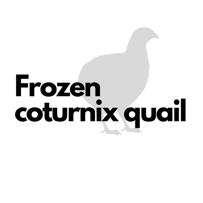 Frozen Coturnix Quail (sizes)