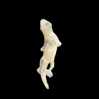 Repti-Bites Gecko Formula