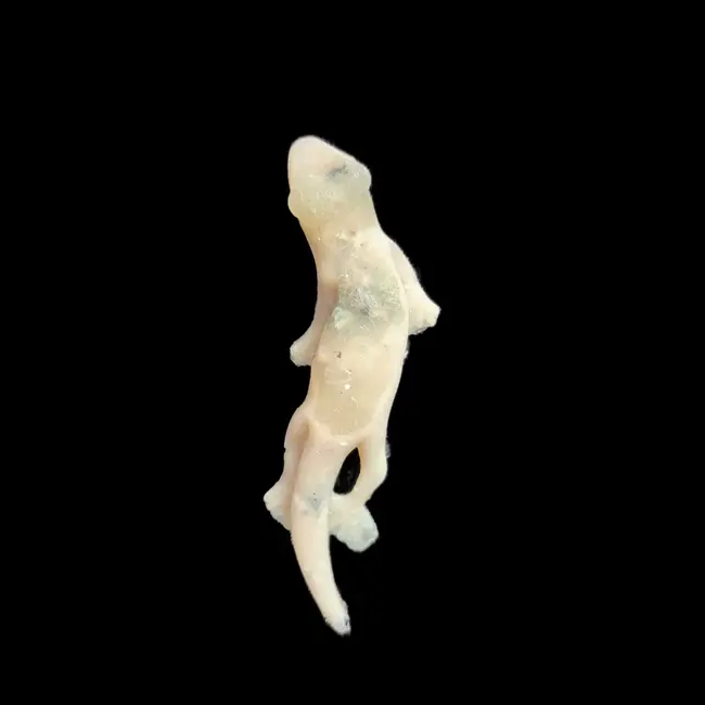 Repti-Bites Gecko Formula