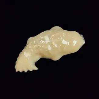 Repti-Bites Fish Formula