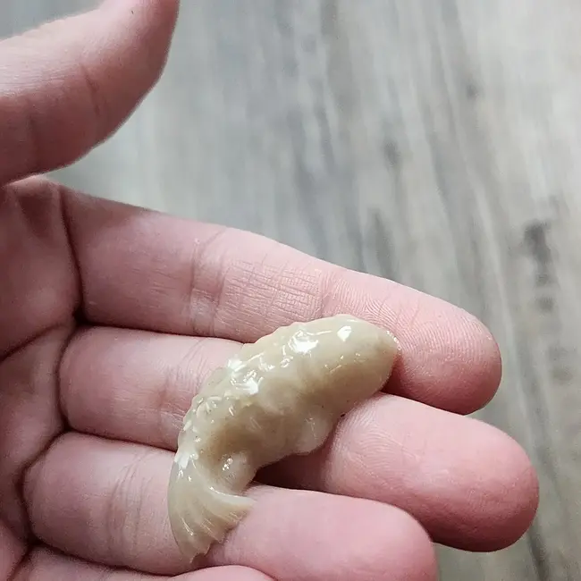 Repti-Bites Repti-Bites Fish Formula