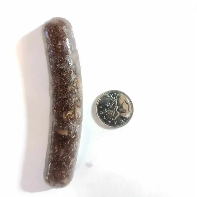 Repti-Bites Repti-Bites Fish Formula