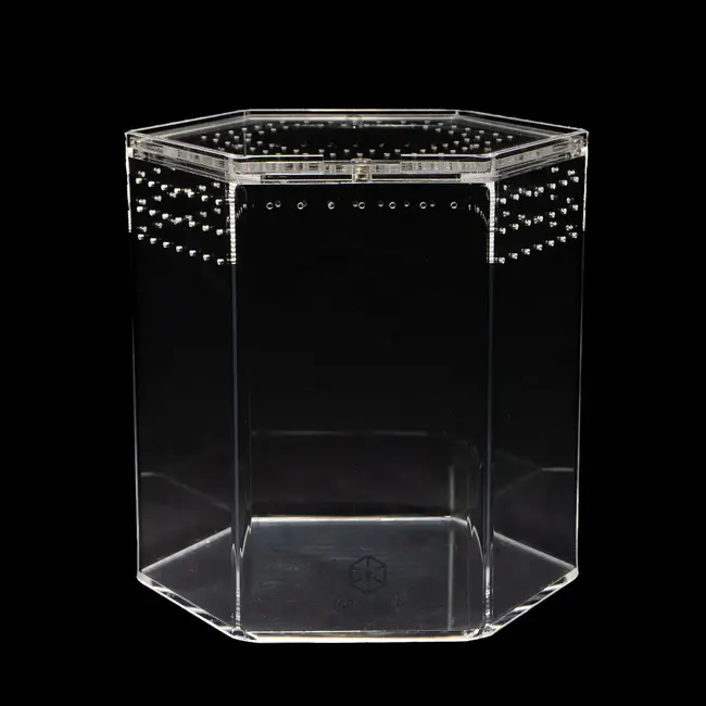 5" Hexagon Tarantula Cribs