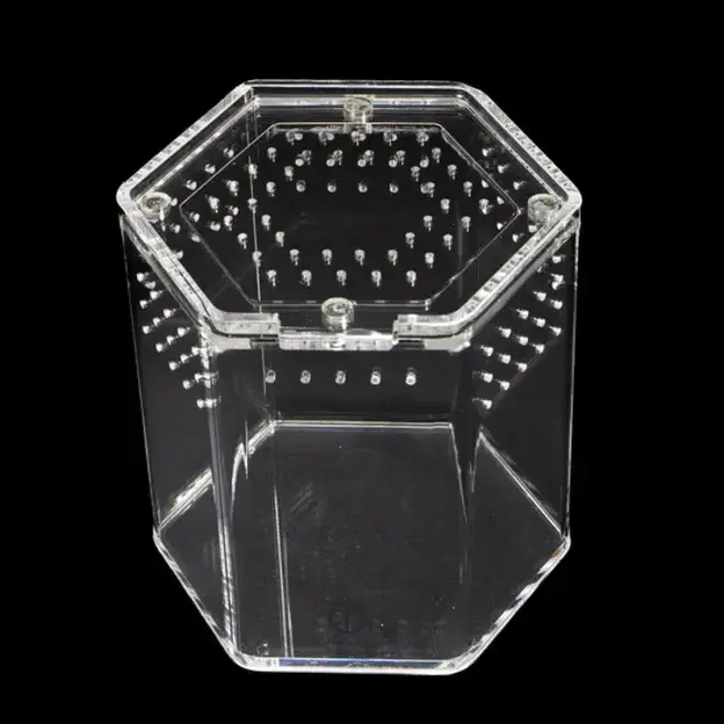 5" Hexagon Tarantula Cribs