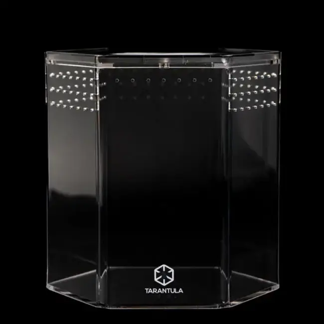 8" Hexagon Tarantula Cribs