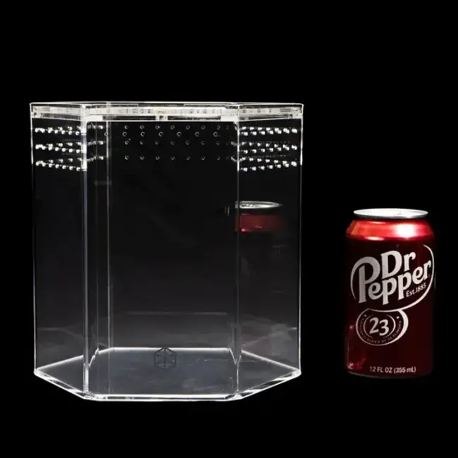 Tarantula Cribs 8" Hexagon Tarantula Cribs