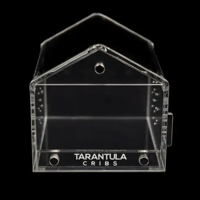 Tarantula Cribs Canopy Mini 3x3x3" Tarantula Cribs