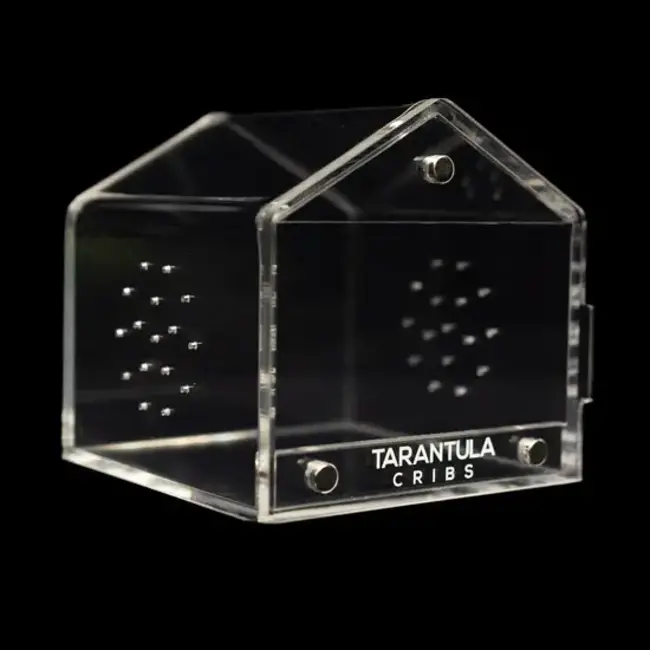 Tarantula Cribs Canopy Mini 3x3x3" Tarantula Cribs
